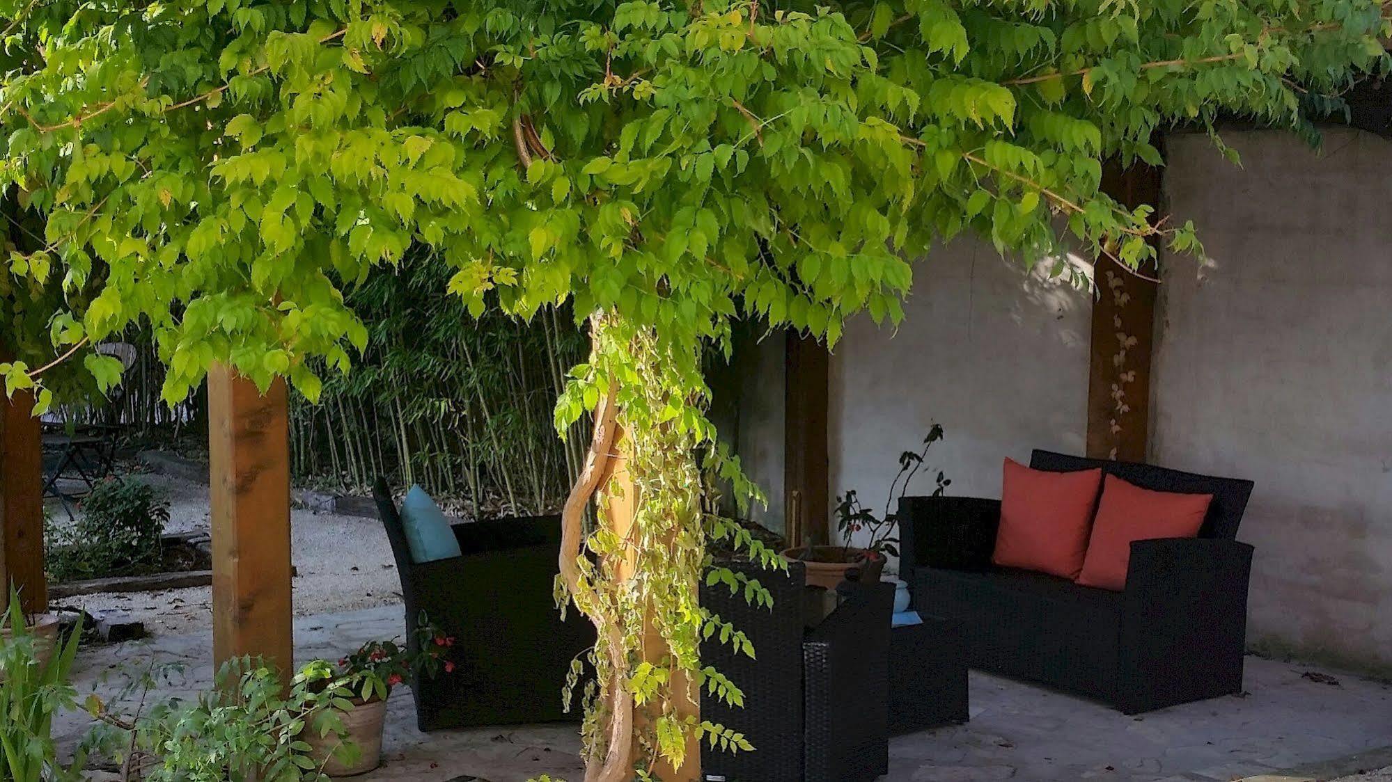 Le Synaya Hotell Sanary-sur-Mer Exteriör bild